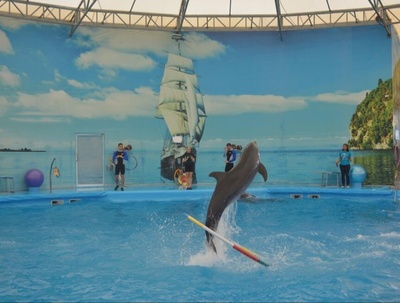 选对酒店，你会遇到一个梦中的普吉岛