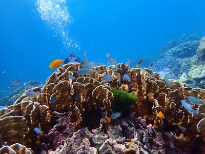 选对酒店，你会遇到一个梦中的普吉岛